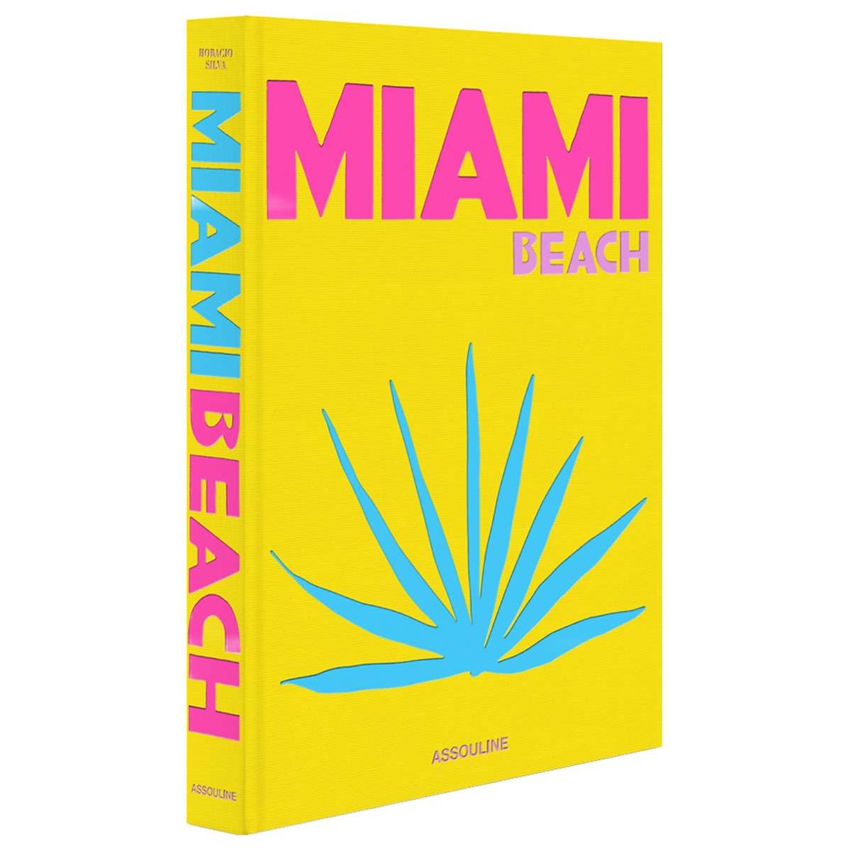 Miami beach 1
