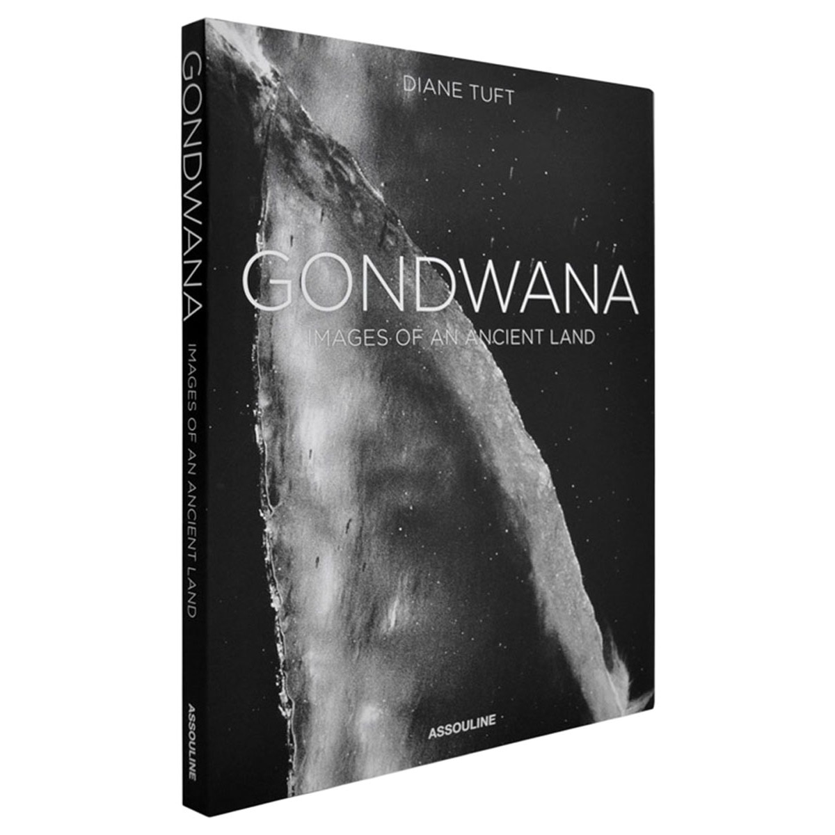 Imagem 0 de Gondwana: images of an ancient land