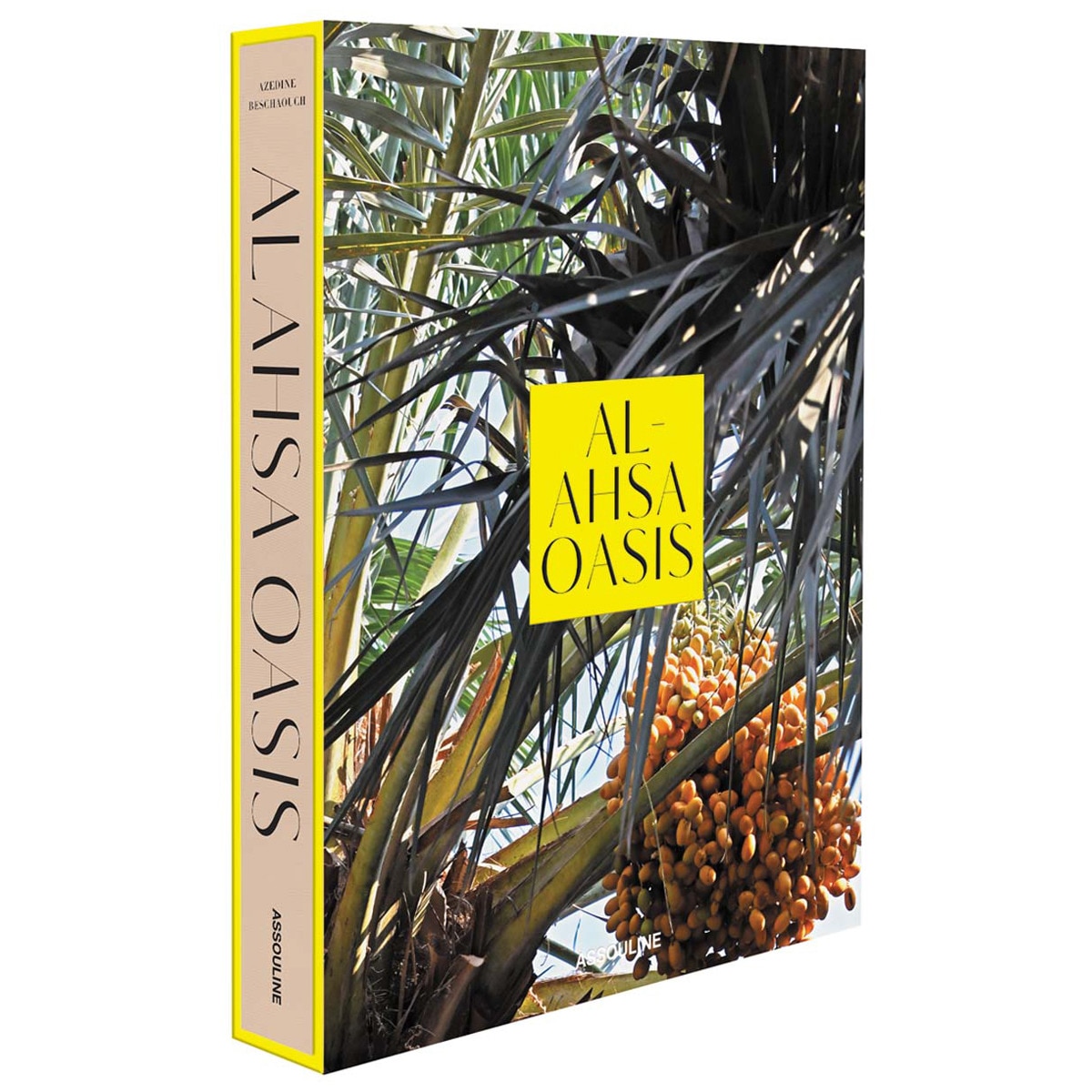 Al ahsa oasis 1