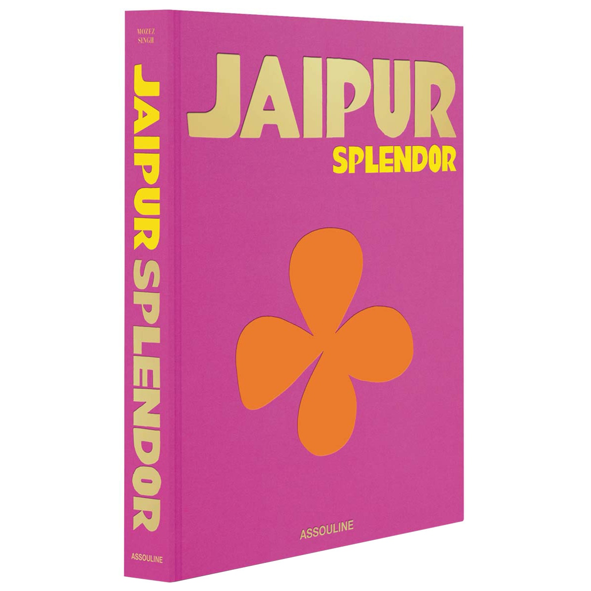 Imagem 0 de Jaipur splendor