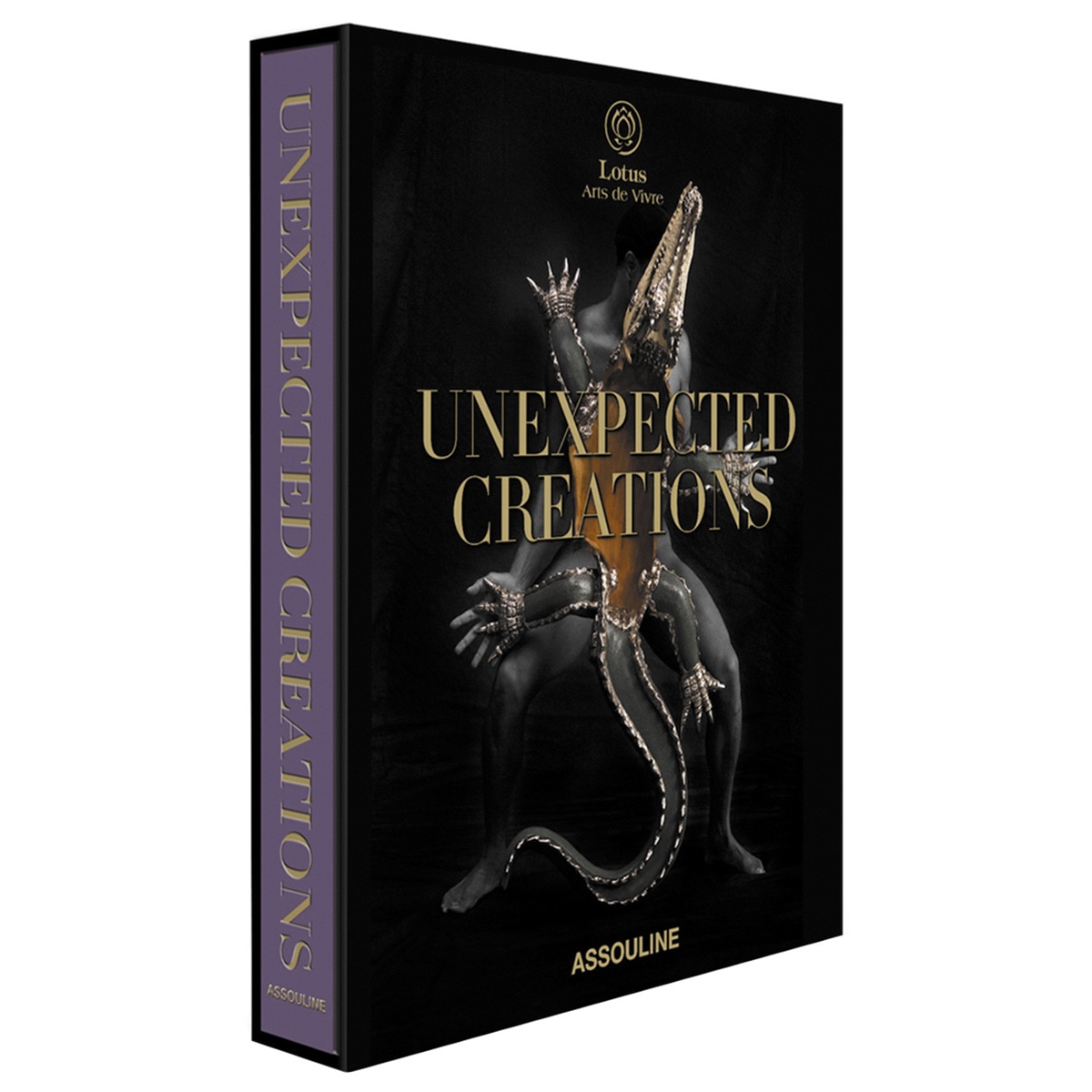 Unexpected Creations 1