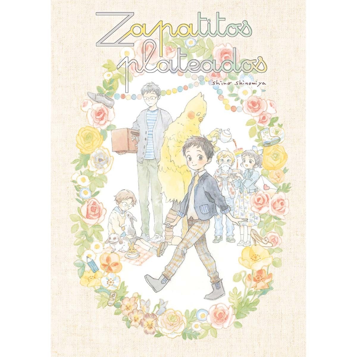 Zapatitos plateados 1
