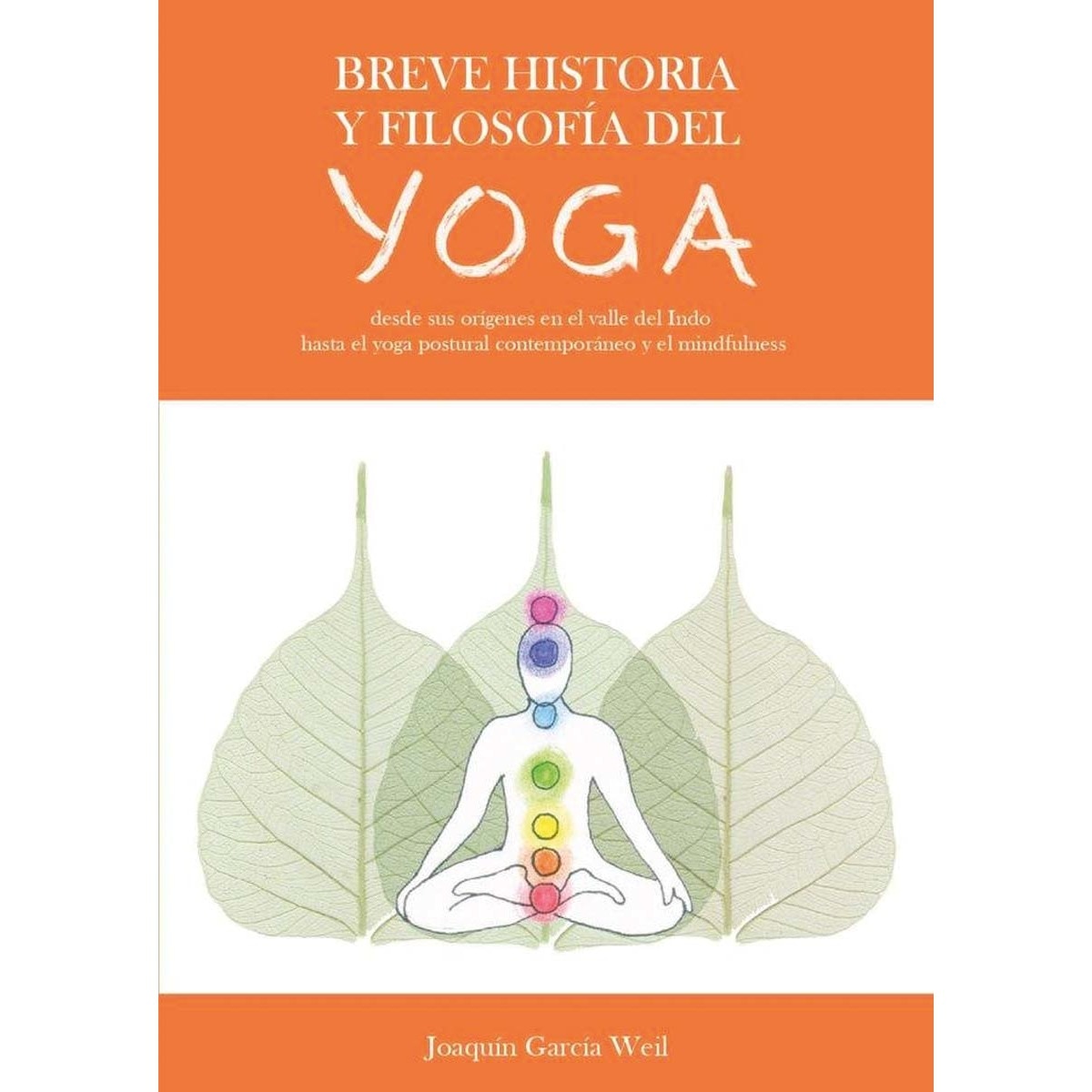 Breve historia y filosofía del yoga 1