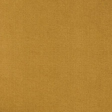 Ocre