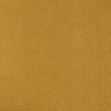 Ocre