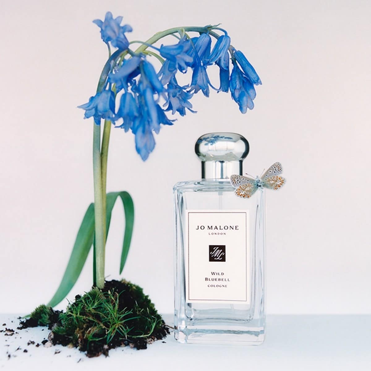 Wild Bluebell Cologne - 100 ml 3
