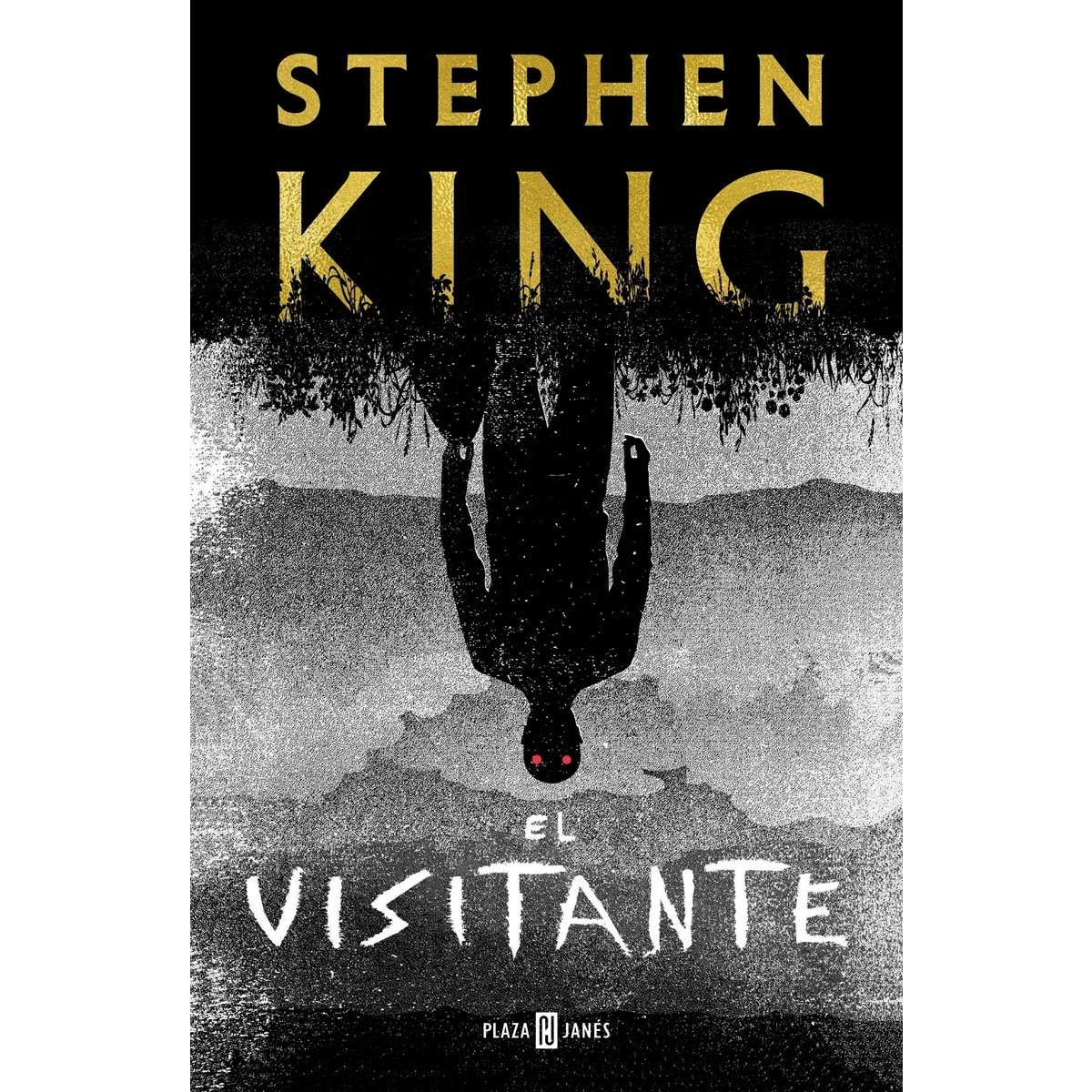 Imagen 0 de El visitante (Tapa dura)