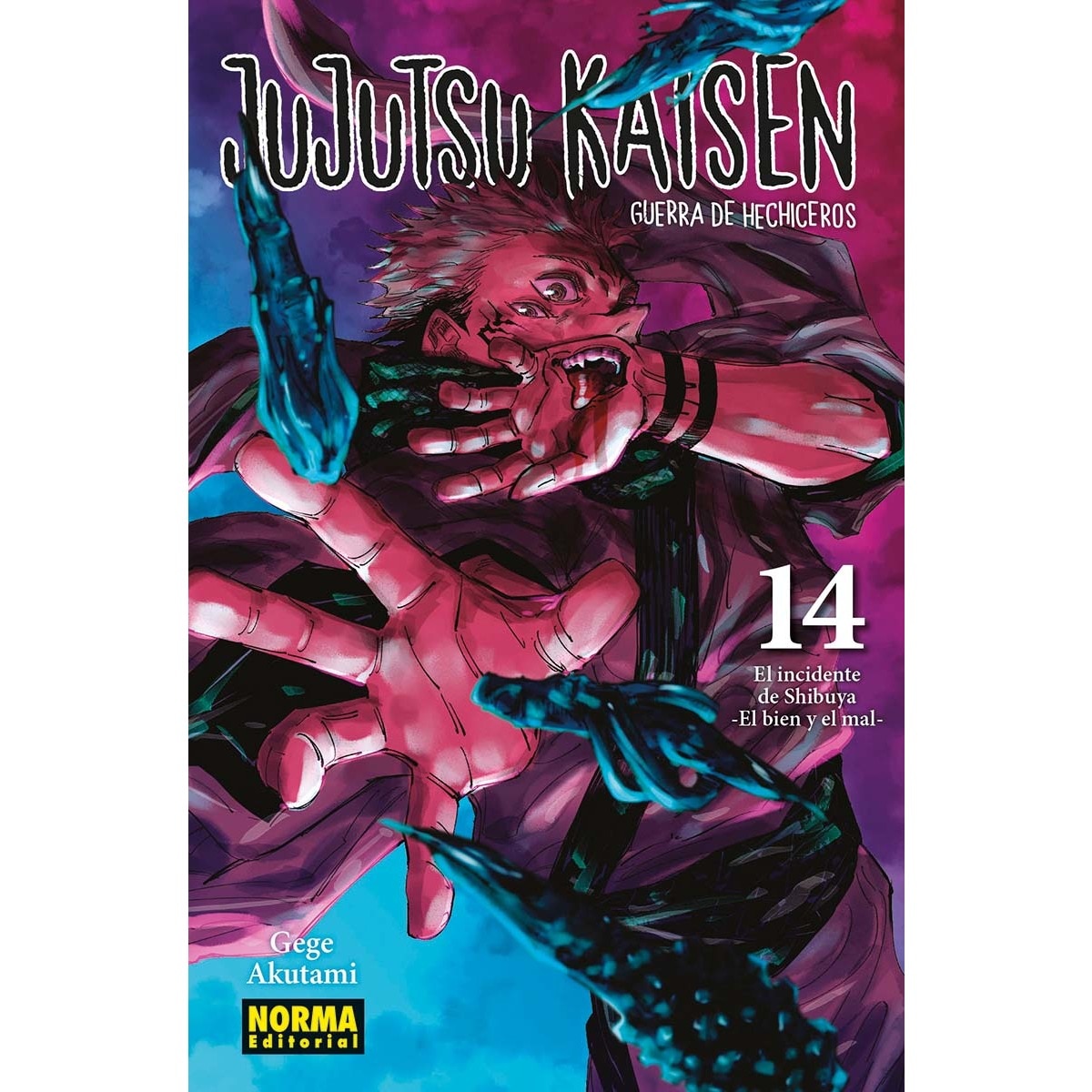 Imagem 0 de JUJUTSU KAISEN 14 (NUEVO PVP)