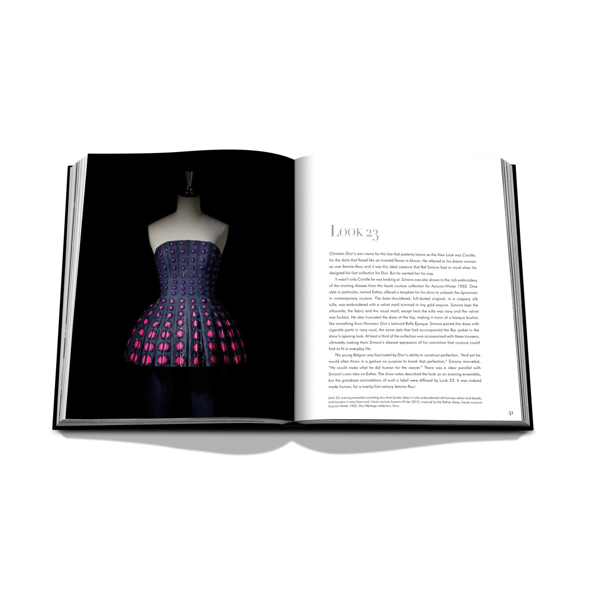 Dior by raf simons 5