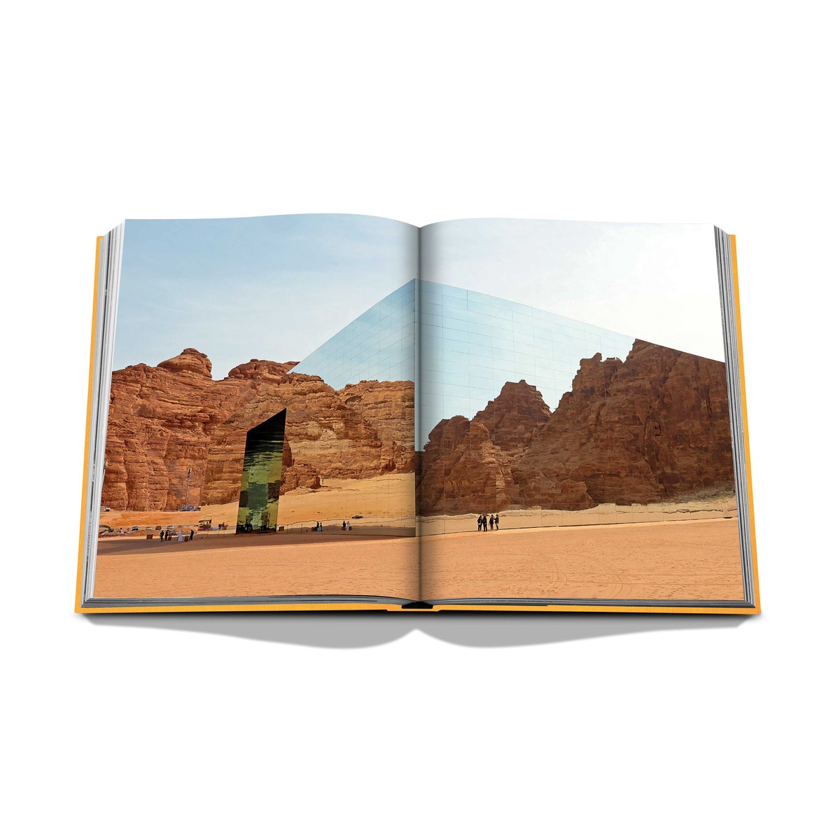Alula ever 12