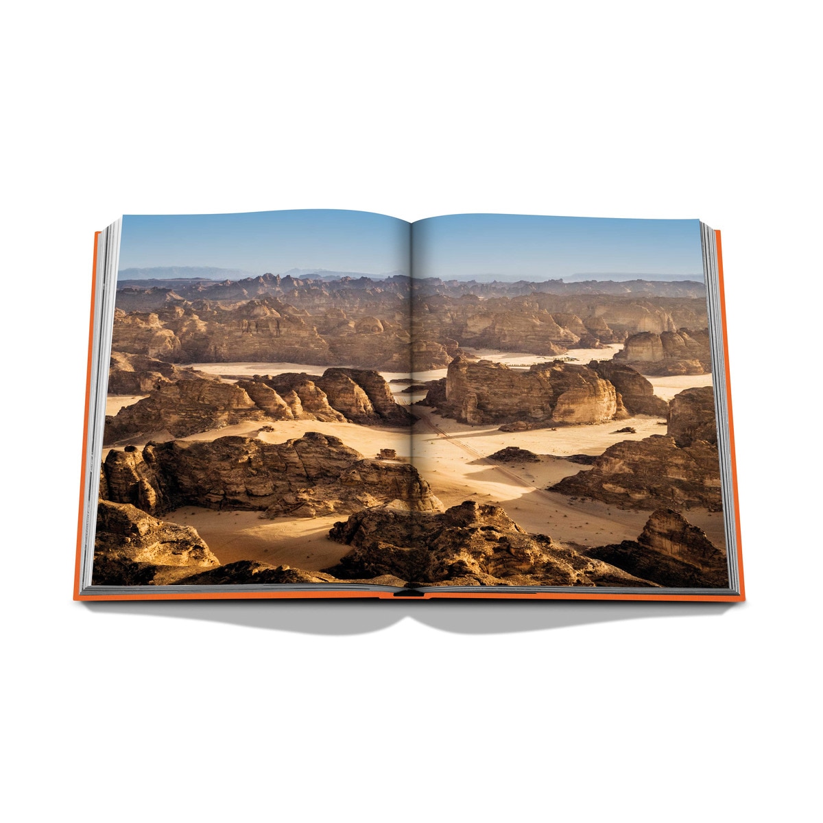 Alula ever 4