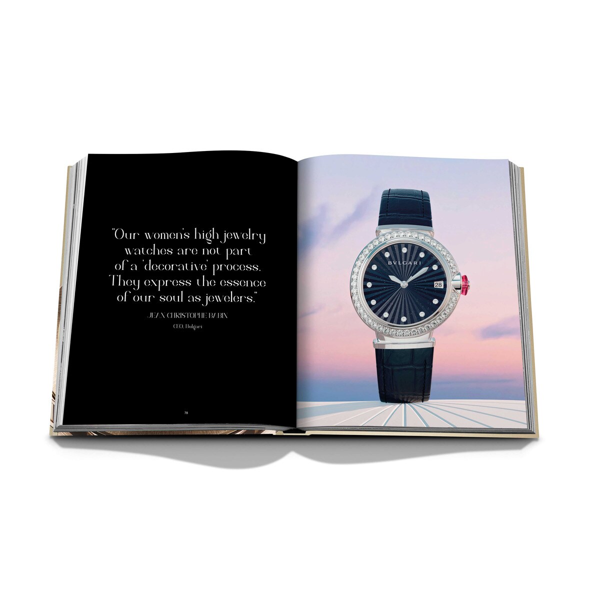 Bulgair beyond time 7