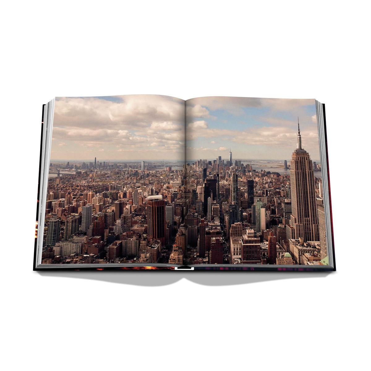 New york chic 14
