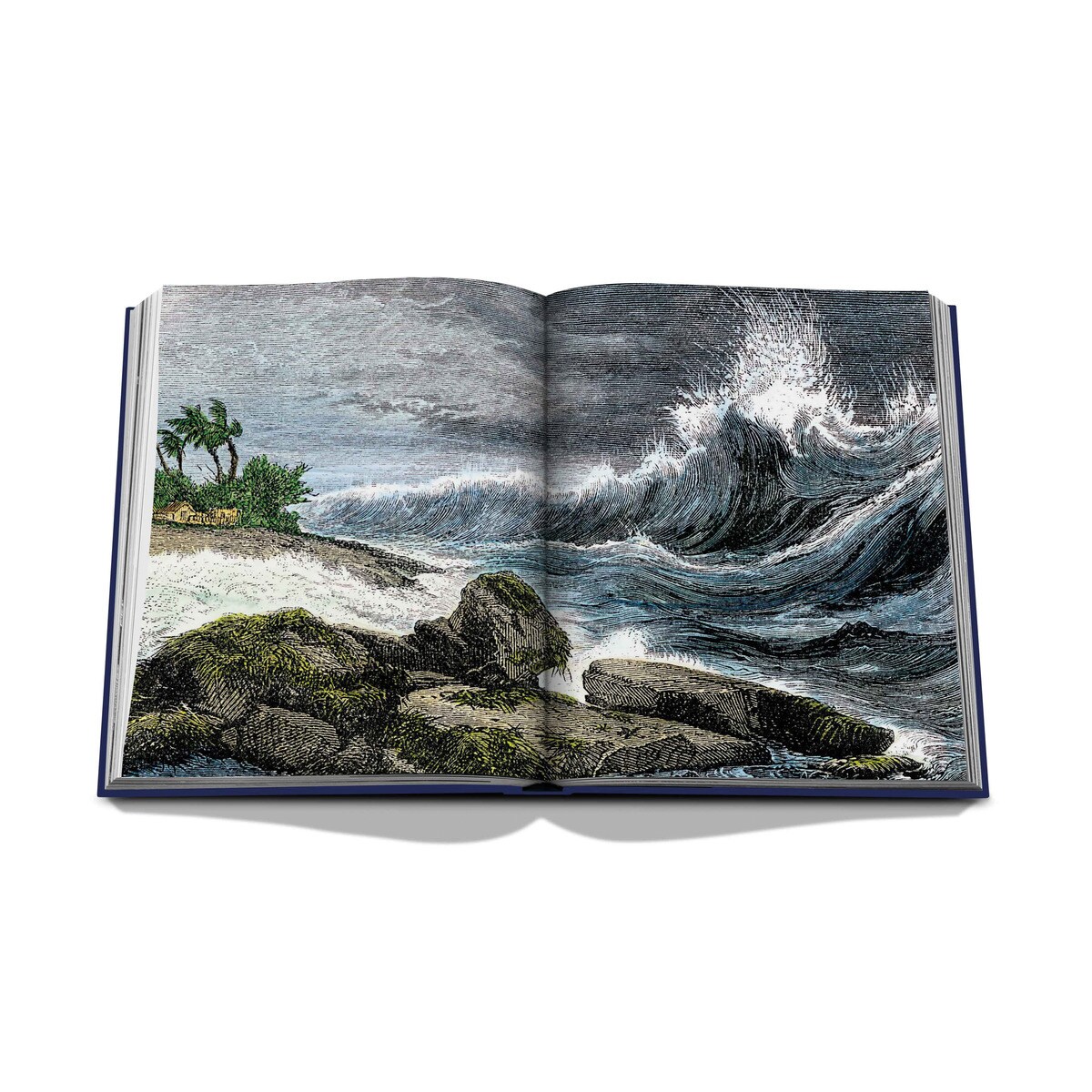 Ocean wanderlust 12