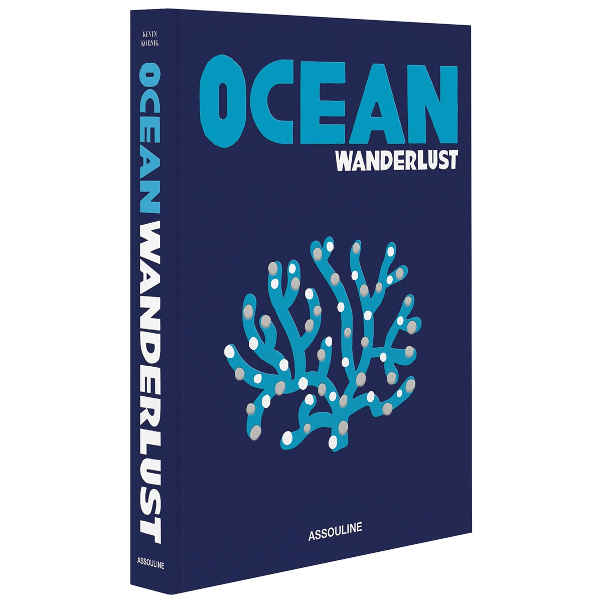 Imagen 0 de Ocean wanderlust