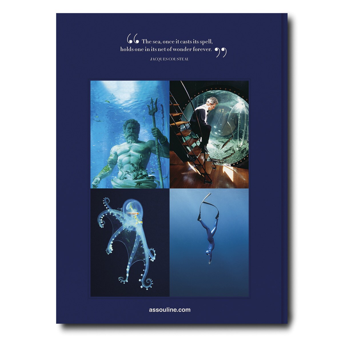 Ocean wanderlust 3