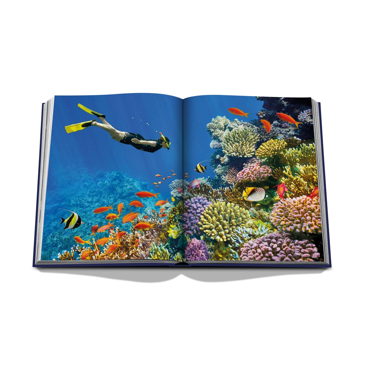 Ocean wanderlust 4