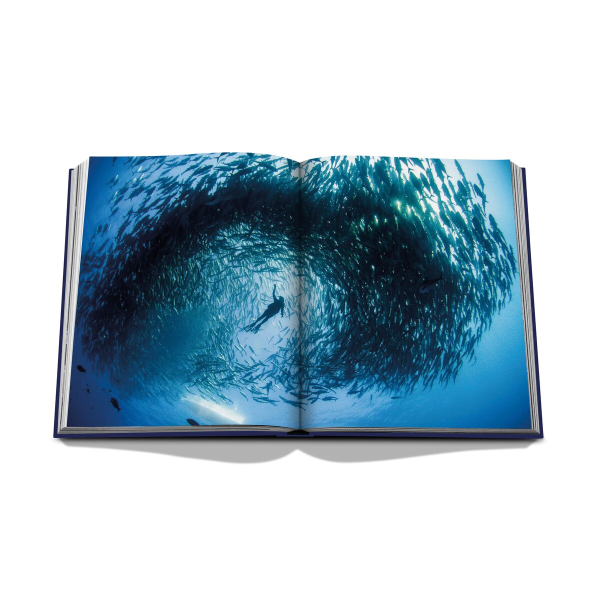 Ocean wanderlust 8
