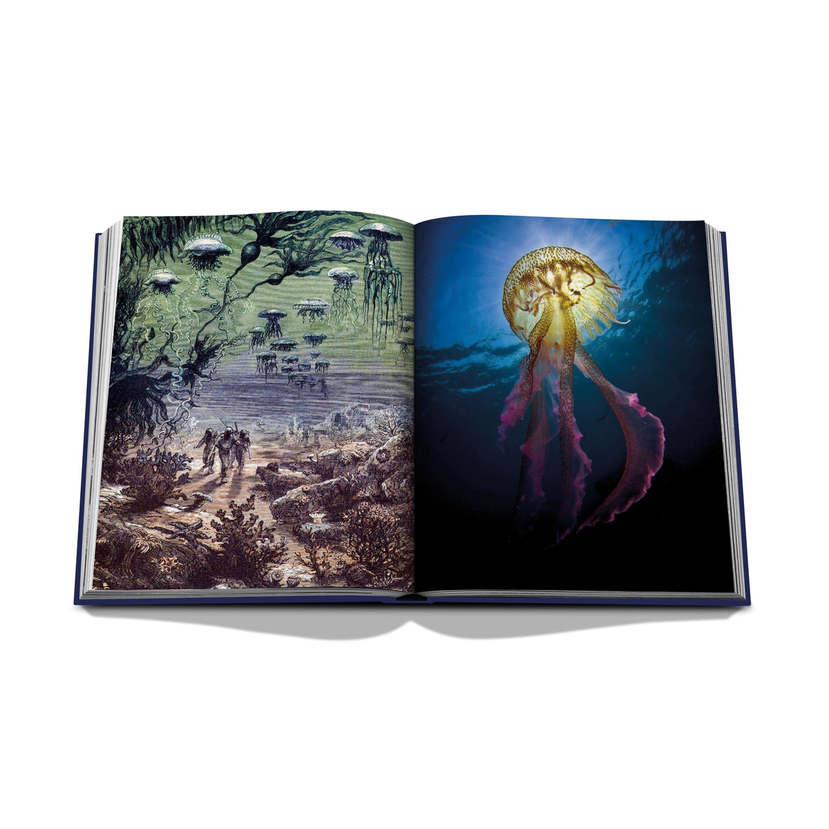 Ocean wanderlust 9