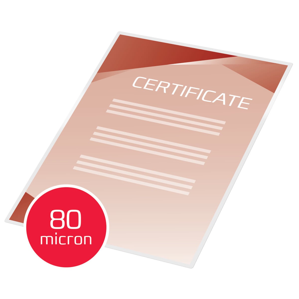 Portfólios GBC DIN A4 (216X303) 2X80 mic. (Caixa 100) Transparente-5