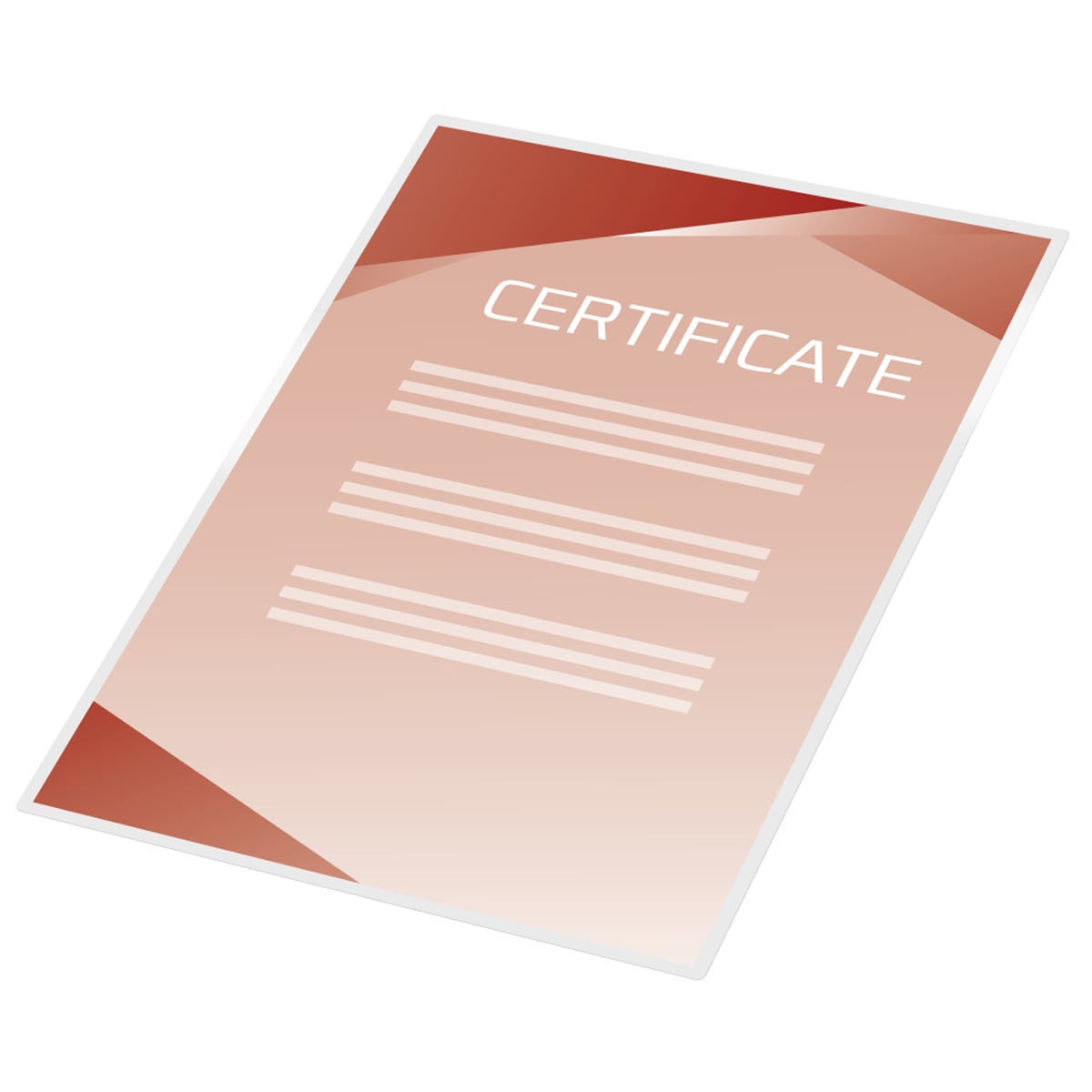 Portfólios GBC DIN A4 (216X303) 2X80 mic. (Caixa 100) Transparente-3