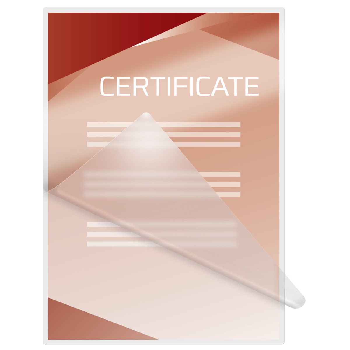 Portfólios GBC DIN A4 (216X303) 2X125 mic. (Caixa 100) Transparente-4