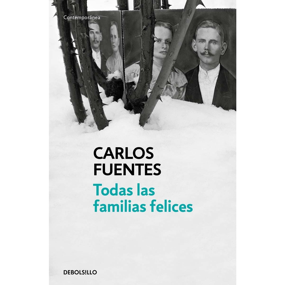 Imagen 0 de Todas las familias felices (Bolsillo) (Tapa blanda)
