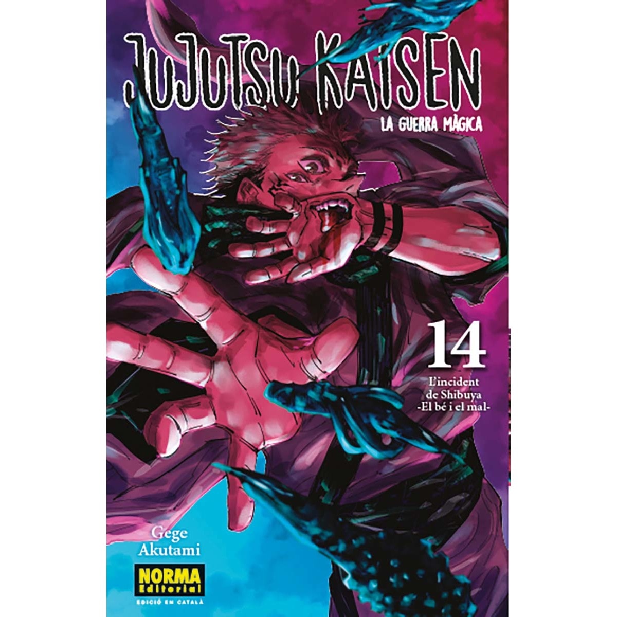 Imagen 0 de JUJUTSU KAISEN 14 CATALA