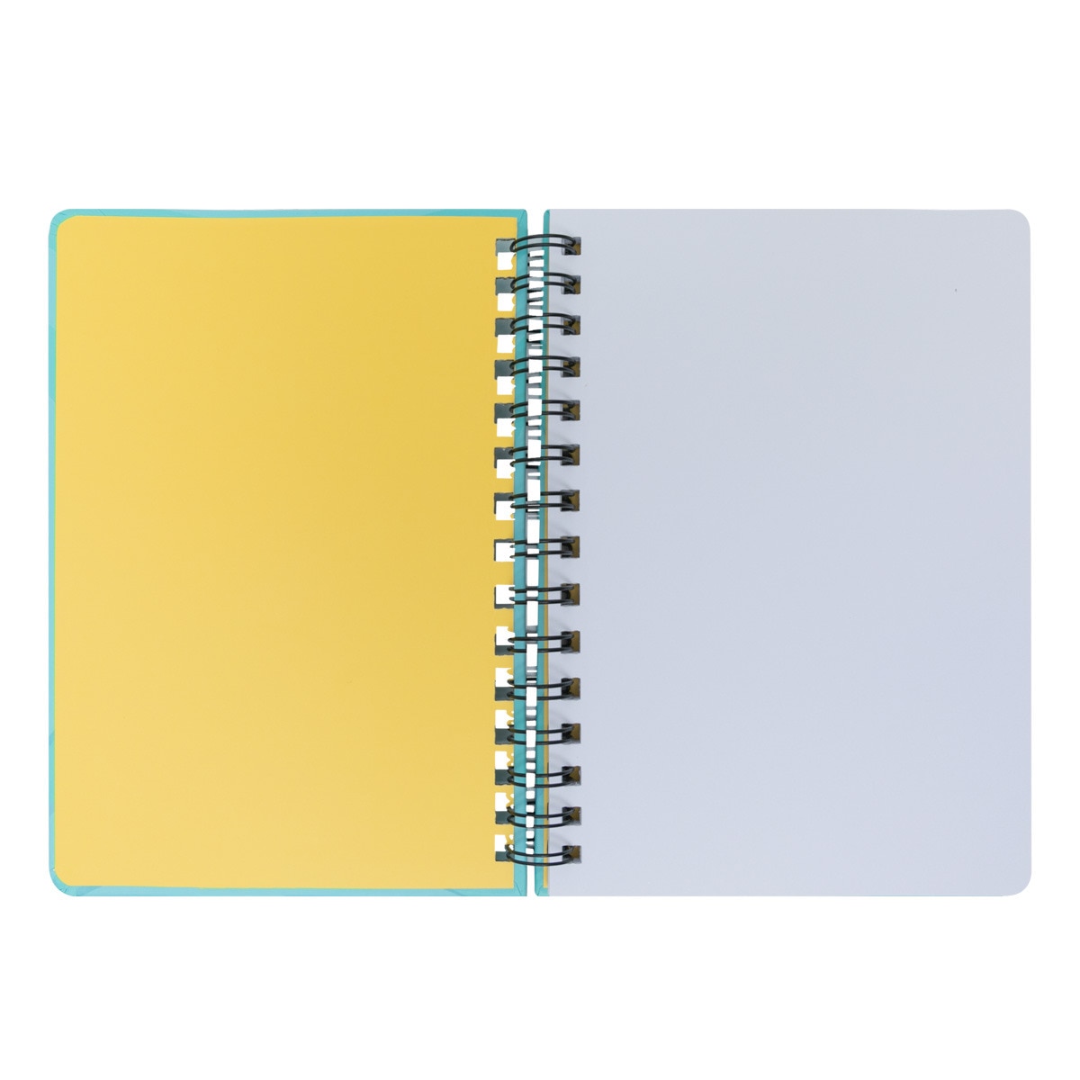 Libreta A5 con squishy Mr Wonderful: Abeja Cada día es mi día 4