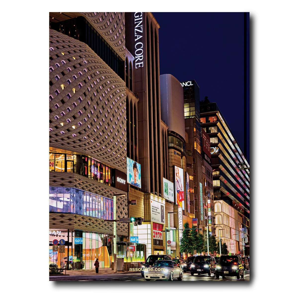 Tokyo chic 3
