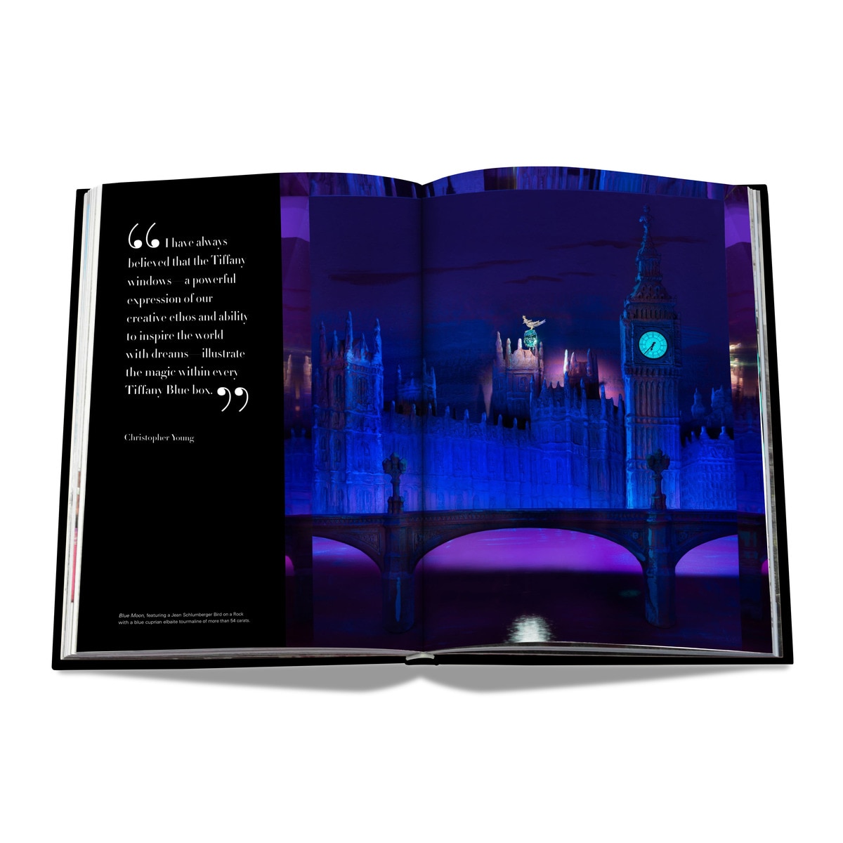 Windows at tiffany & co.(icon edition) 9