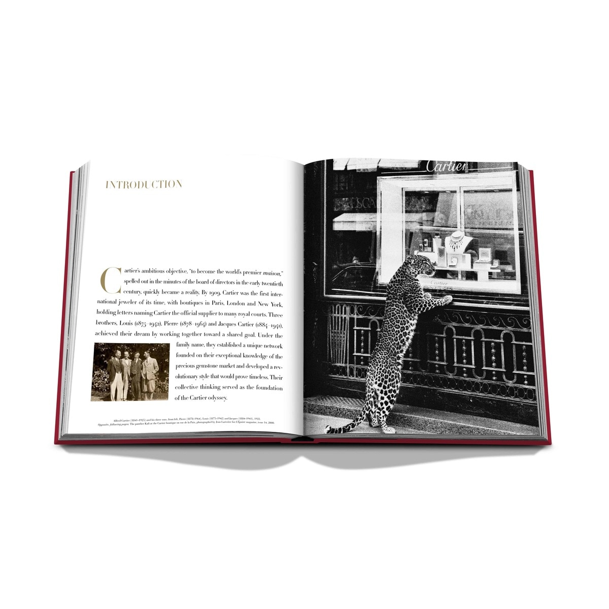 Cartier: the impossible collection 8