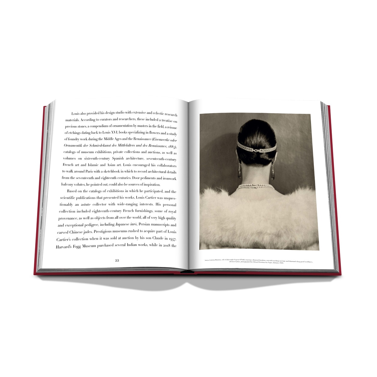 Cartier: the impossible collection 7