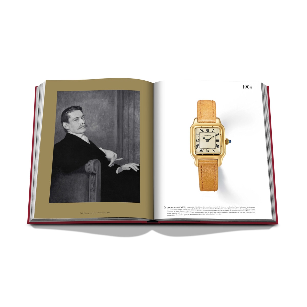 Cartier: the impossible collection 9