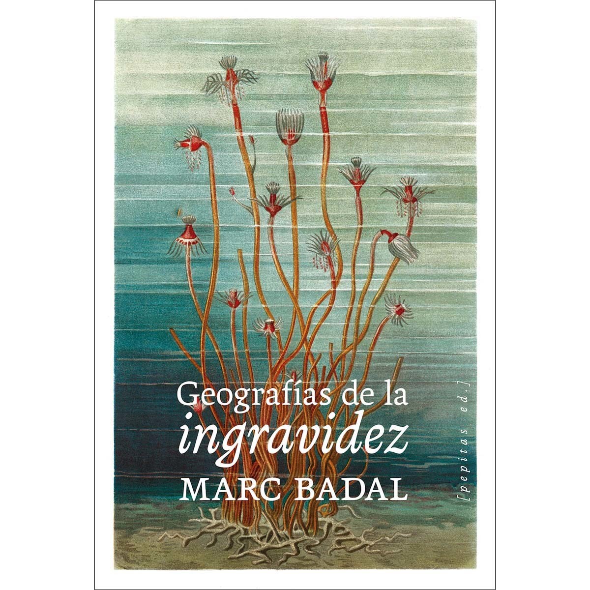 Geografías de la ingravidez: Sobre la desorientación como privilegio (Capa mole com abas) 1