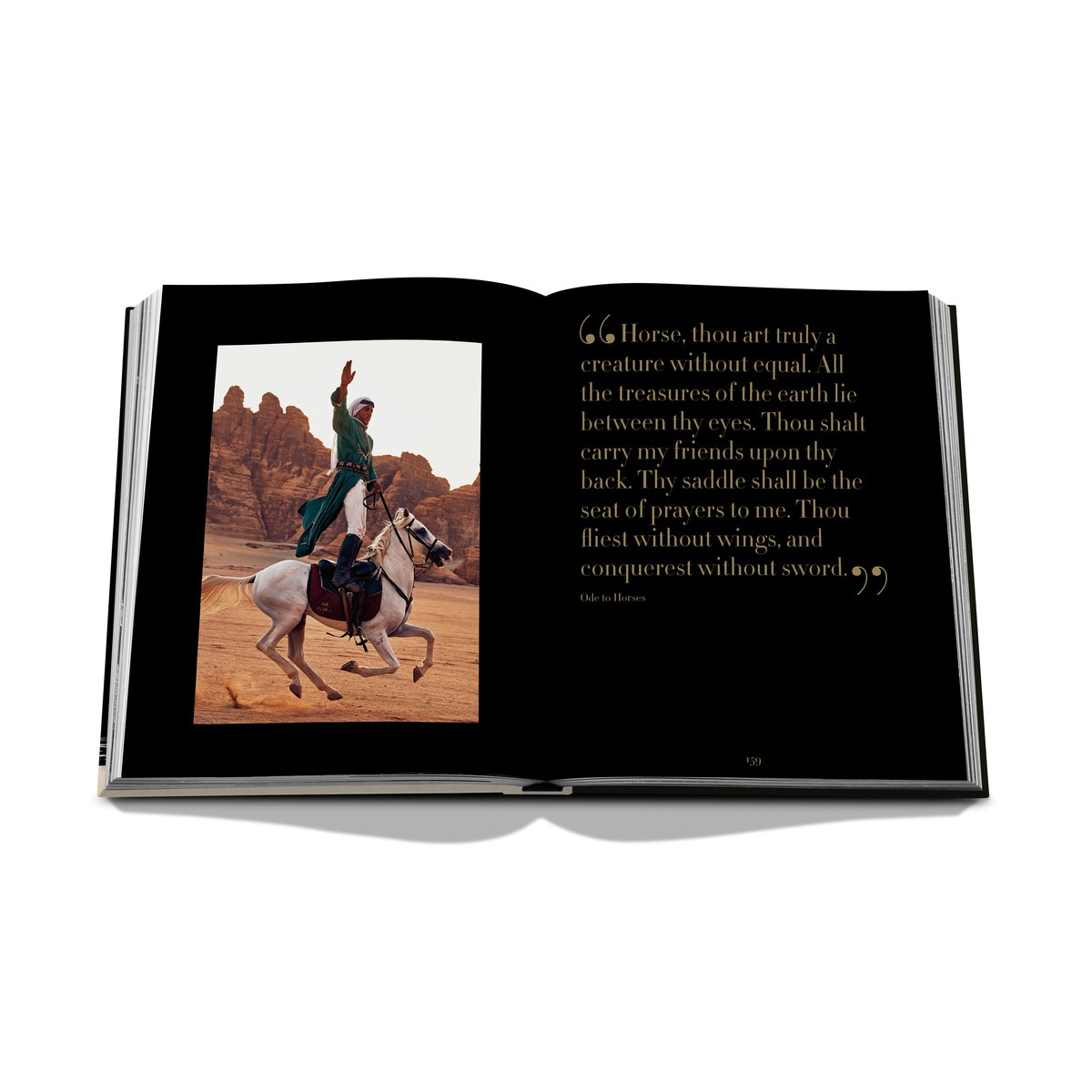 Horses from saudi arabia 9