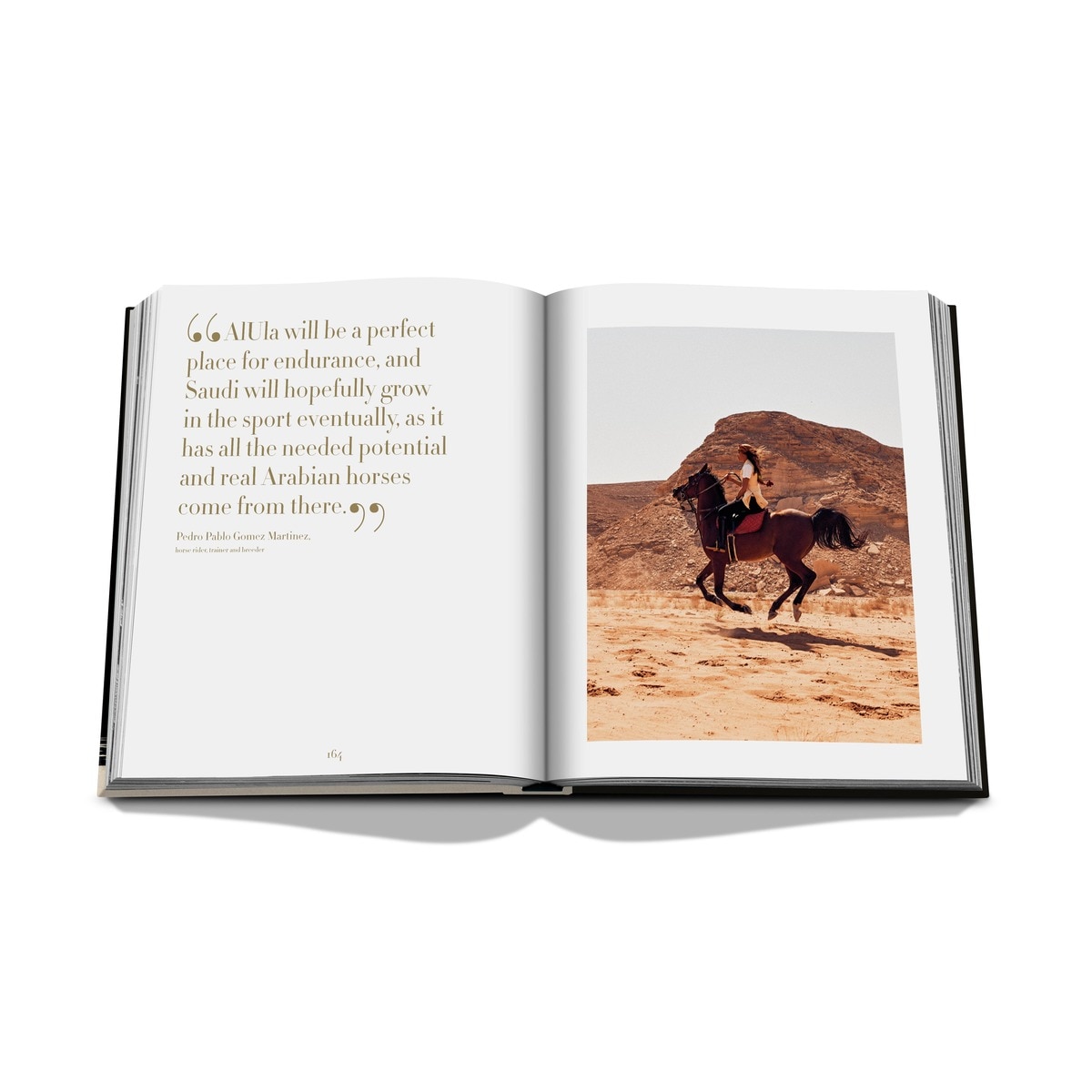 Horses from saudi arabia 10