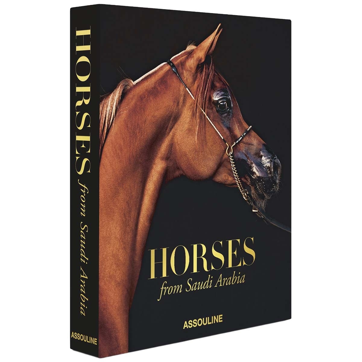 Horses from saudi arabia 1