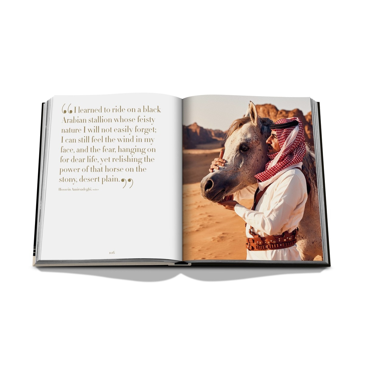 Horses from saudi arabia 5