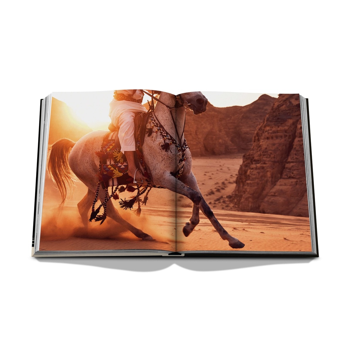 Horses from saudi arabia 6