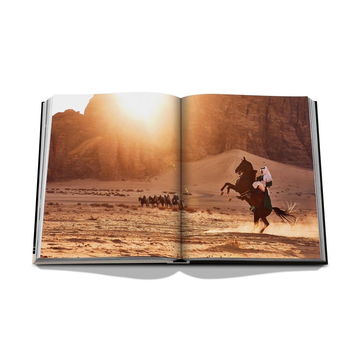 Horses from saudi arabia 8