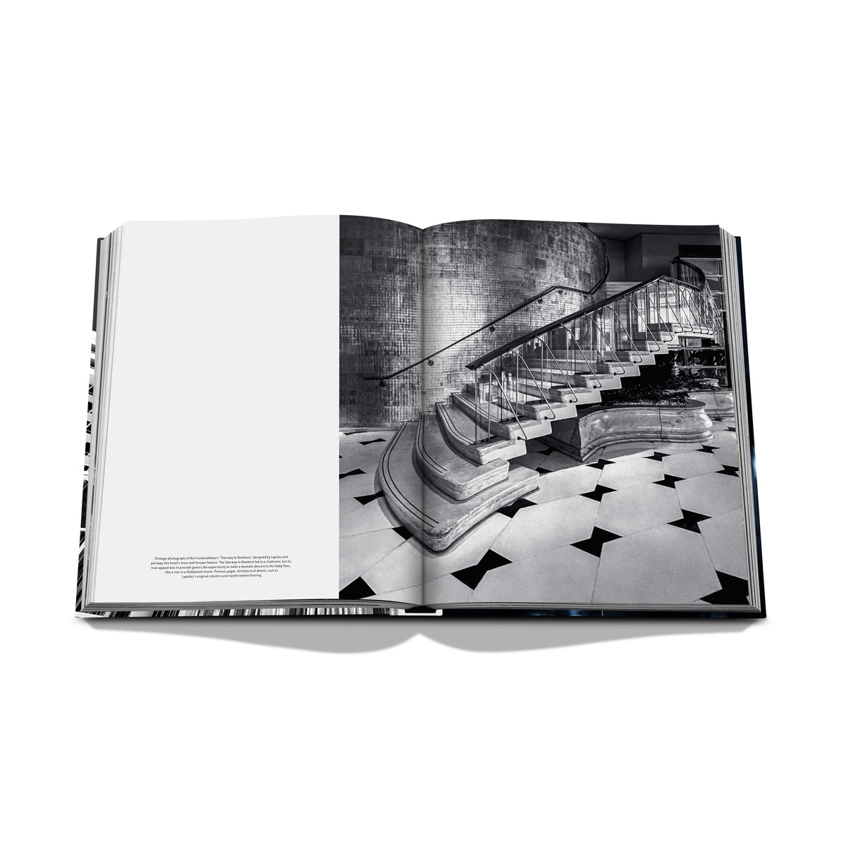 Forever fontainebleau 6