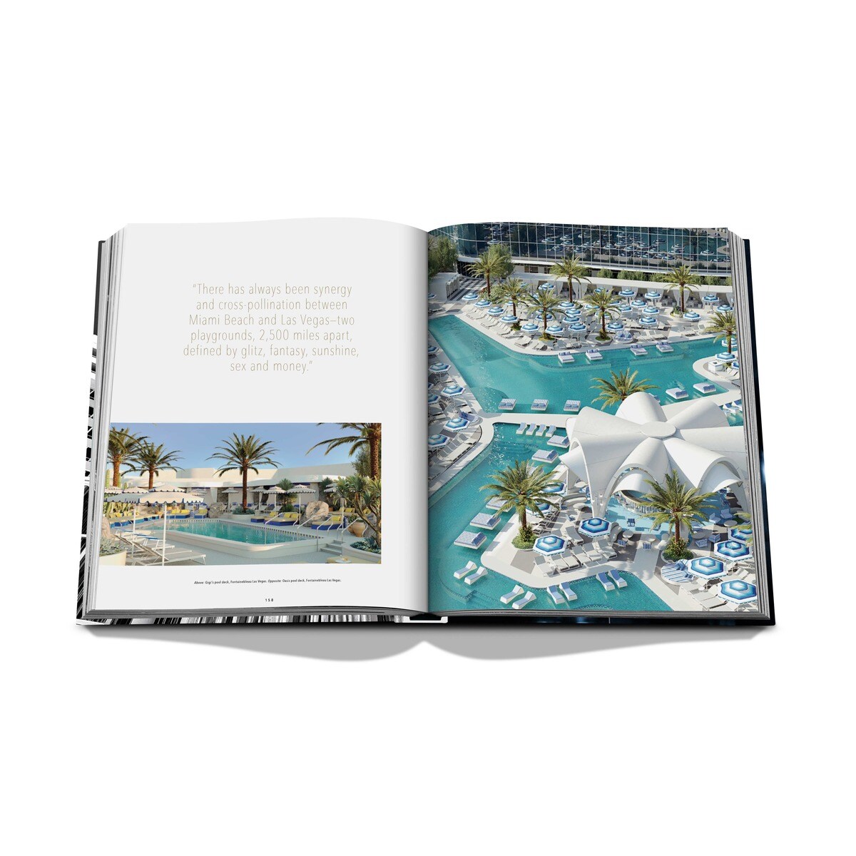 Forever fontainebleau 10