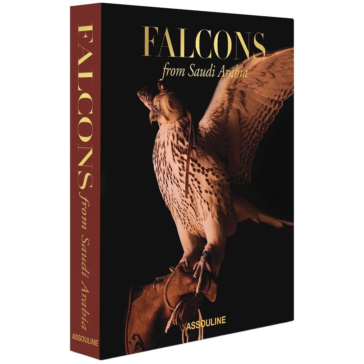 Falcons from saudi arabia 1
