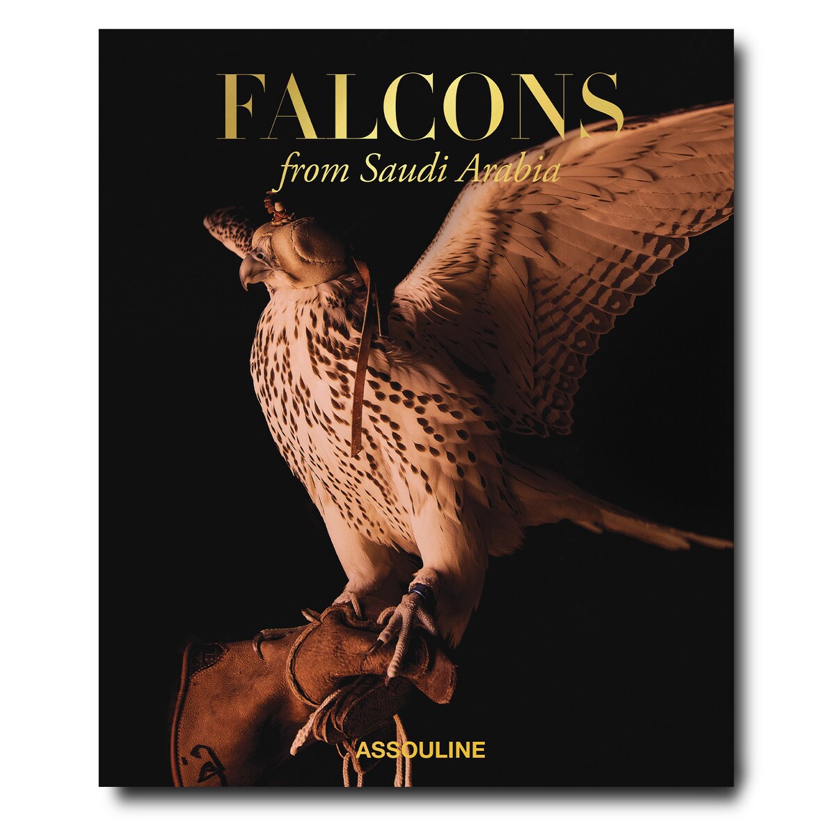 Falcons from saudi arabia 2