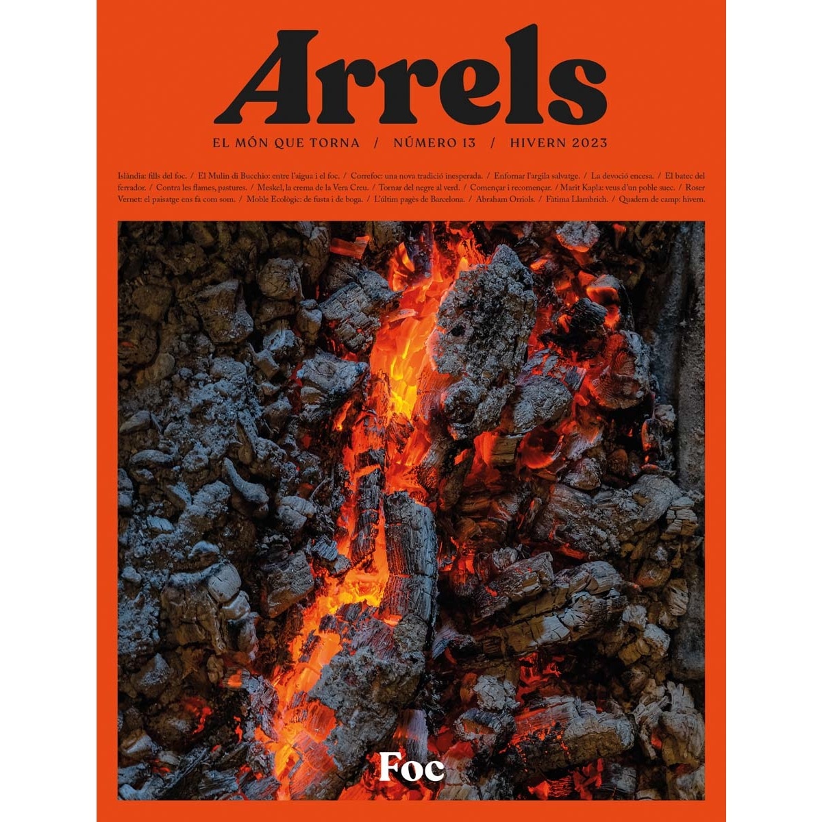 Arrels #13 1