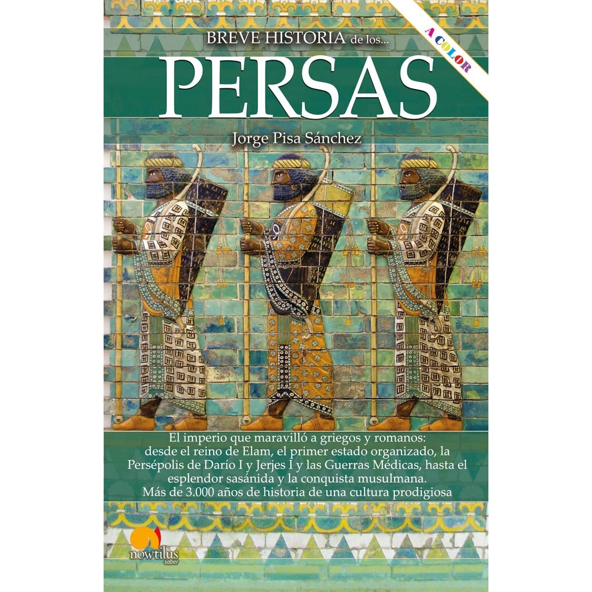 Breve historia de los persas NE COLOR (Capa mole com abas) 1