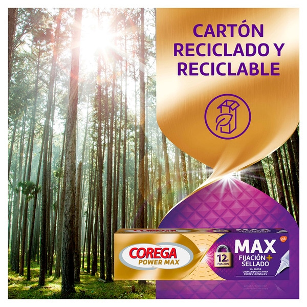 Power Max Halt + Dichtung Haftcreme für Zahnprothesen Rohr 40 g geschmacksneutral