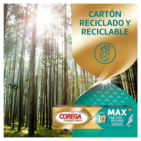 Power Max Halt + Dichtung Haftcreme für Zahnprothesen Rohr 40 g milder Minzgeschmack