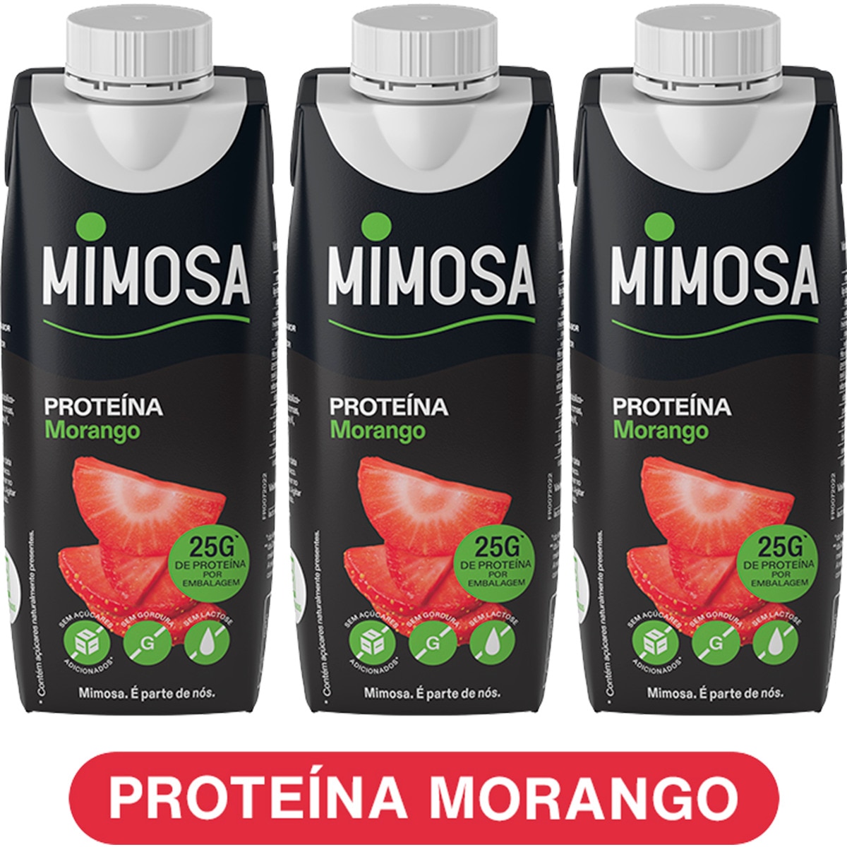 Leite Proteína Morango sem Lactose Pack 3 unidades embalagem 250 ml